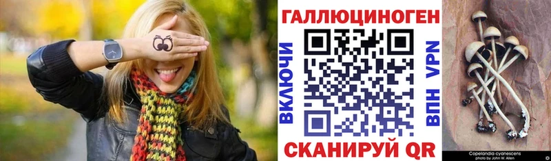 Псилоцибиновые грибы мицелий  где можно купить наркотик  Тосно 
